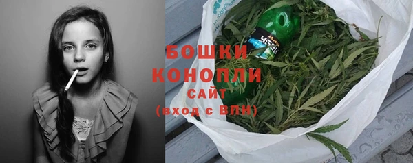 хмурый Богородск