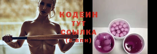 спиды Богданович