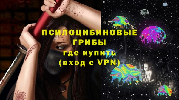 дурь Богородицк