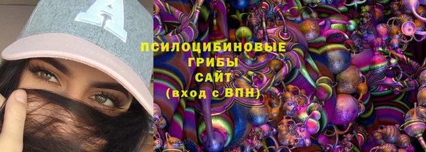 хмурый Богородск