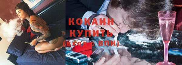 спиды Богданович