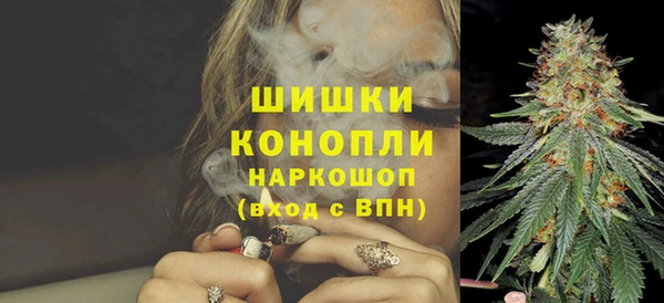 спиды Богданович