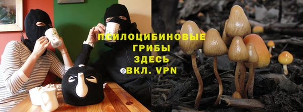 хмурый Богородск