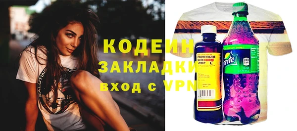 спиды Богданович