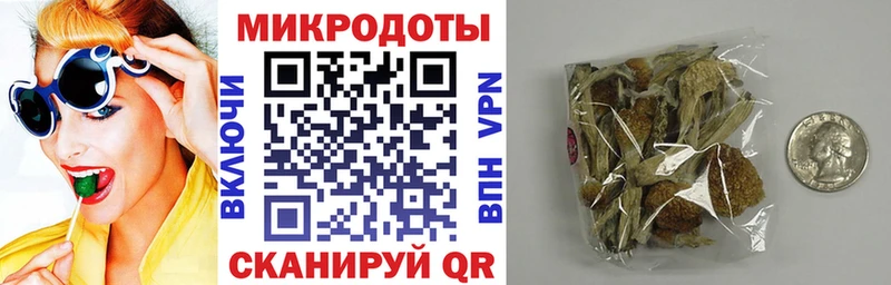 площадка какой сайт  KRAKEN рабочий сайт  Псилоцибиновые грибы мицелий  Бокситогорск  продажа наркотиков 
